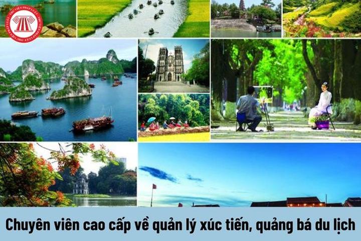 Phương Oanh diện set đồ 50 - Cảm hứng video marketing từ Hotspot Matrix
