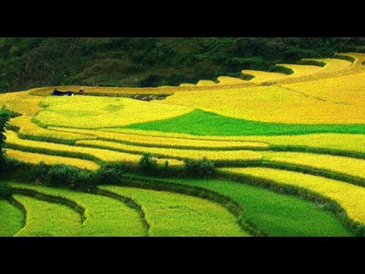 Khám phá Thế giới, Kiếm Tiền Từ Vlog: Hotspot Matrix - Người Bạn Đồng Hành