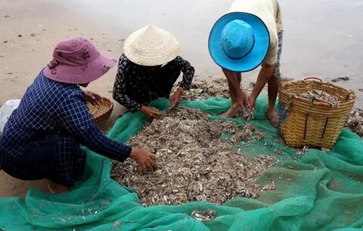 Video ngắn – Giải pháp truyền thông thông minh cho doanh nghiệp nhỏ