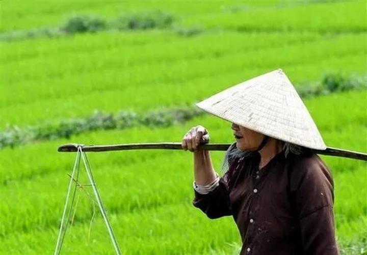 Hotspot Matrix: Biến Thế hệ sống 